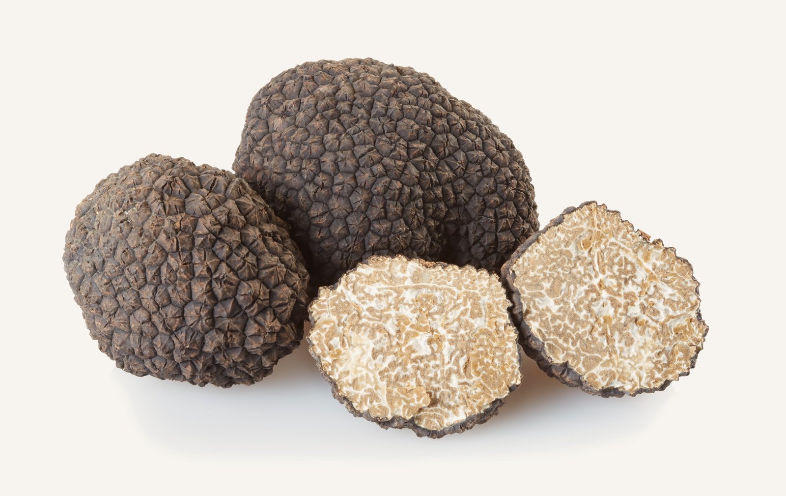 Sommertrüffel: Tuber aestivum