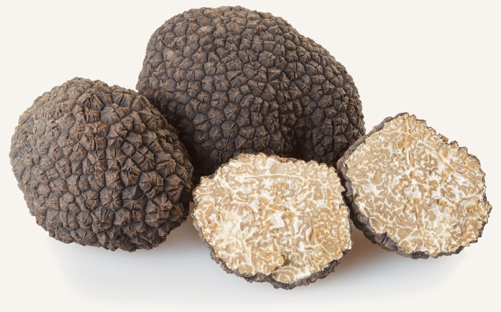 Sommertrüffel: Tuber aestivum