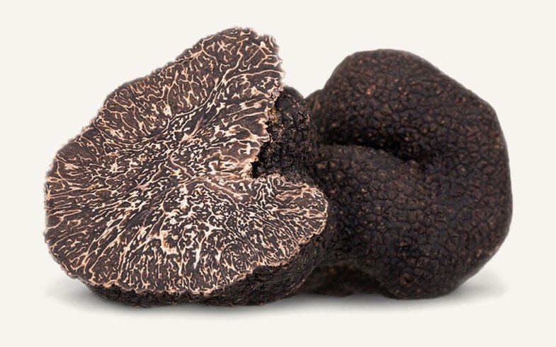 Schwarze Wintertrüffel: Tuber melanosporum