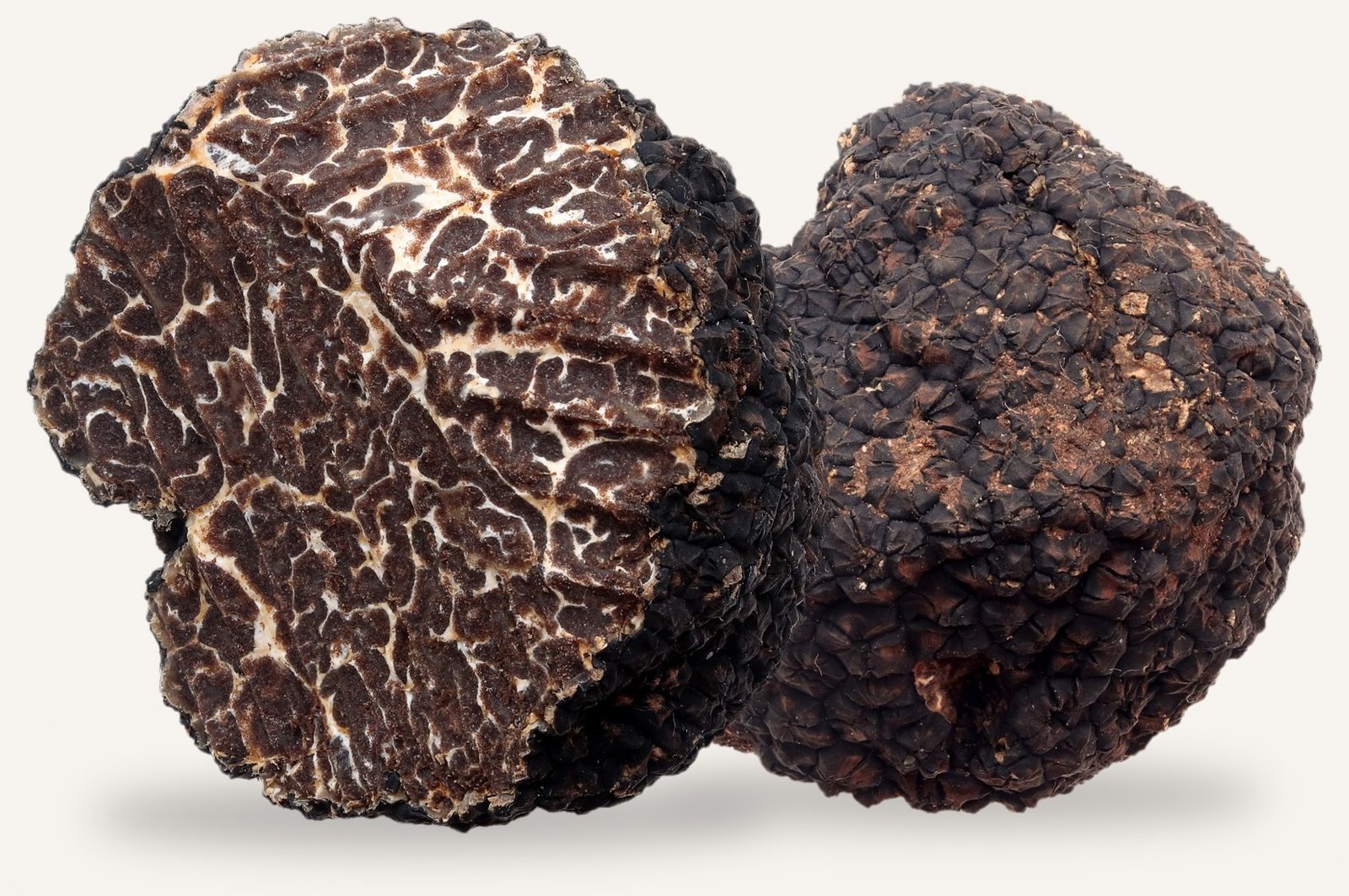 Rauchtrüffel: Tuber mesentericum